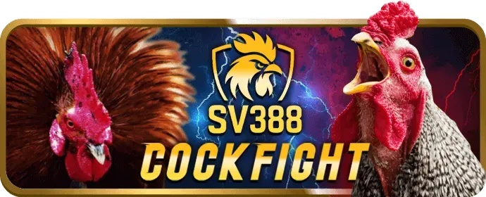 Hoàn trả mỗi ngày VN333
