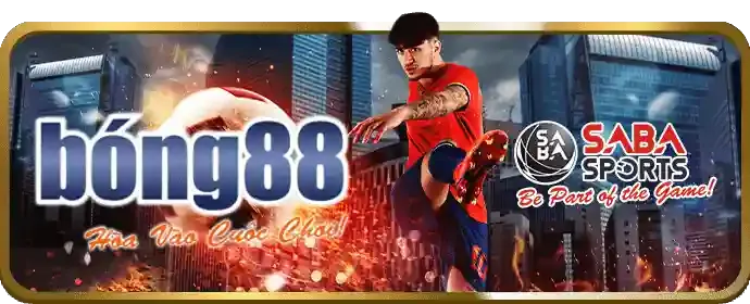 Cá cược thể thao vn333