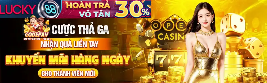 Biểu tượng cam kết của VN333 về sự an toàn và minh bạch trong cá cược trực tuyến